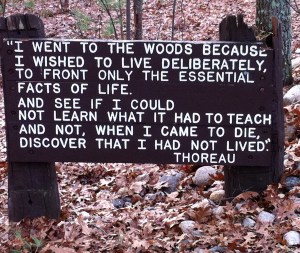 Thoreau quotation near cabin site at Walden Pond